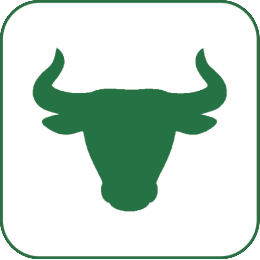 Grass-Fed Beef Tallow