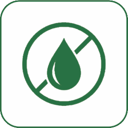 No Seed Oils